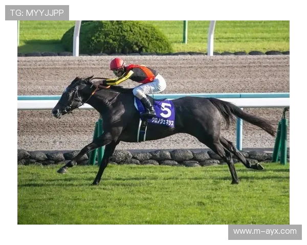 联盟试点常规赛海外赛，墨西哥城成为首选场地